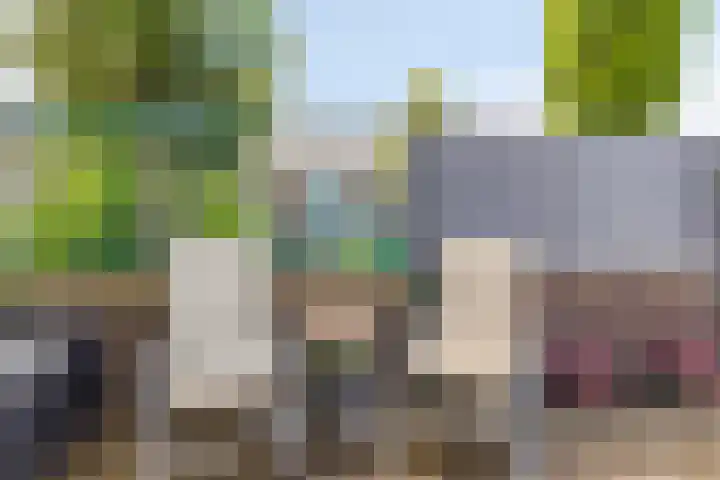 Heintje Davidstuin 1 Heerhugowaard thumbnail 36