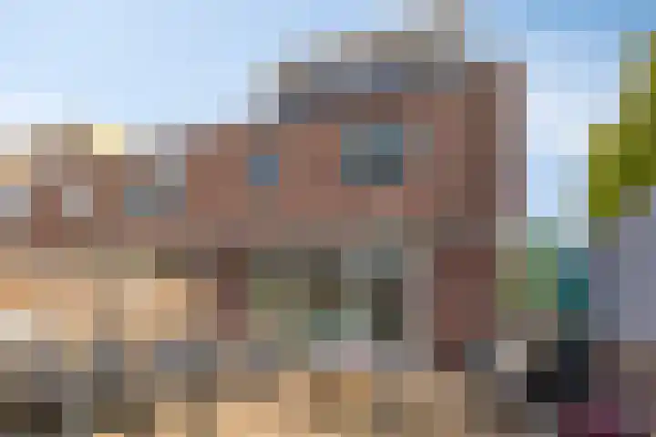 Heintje Davidstuin 1 Heerhugowaard thumbnail 38