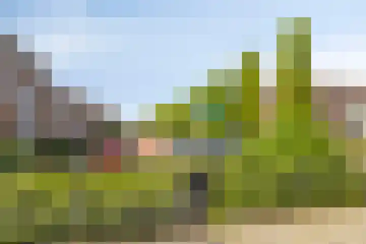 Heintje Davidstuin 1 Heerhugowaard thumbnail 39