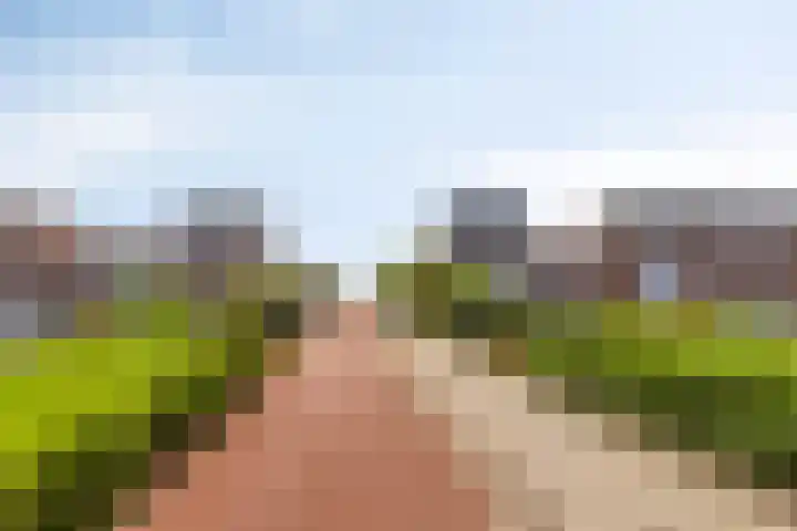Heintje Davidstuin 1 Heerhugowaard thumbnail 40