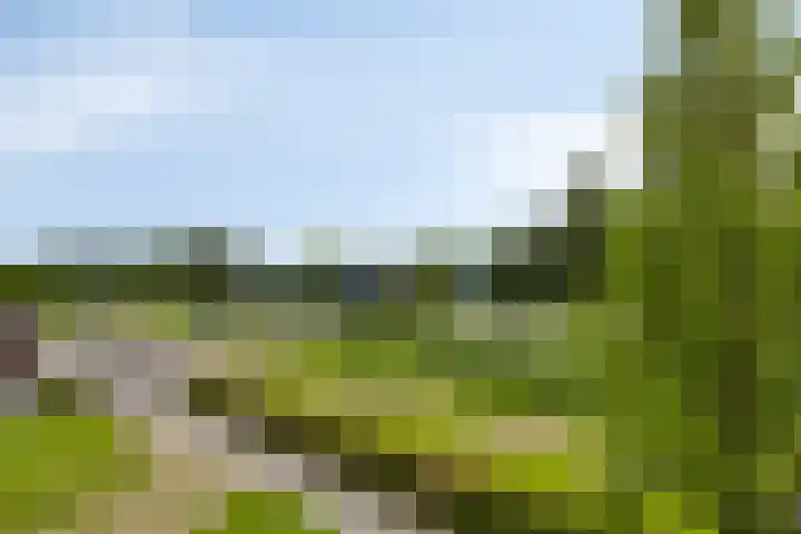 Heintje Davidstuin 1 Heerhugowaard thumbnail 41