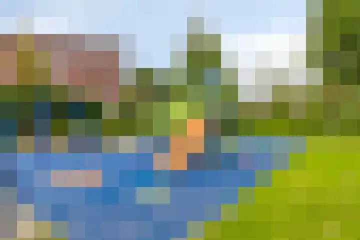 Heintje Davidstuin 1 Heerhugowaard thumbnail 43