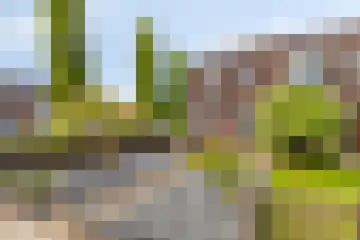 Heintje Davidstuin 1 Heerhugowaard thumbnail 6