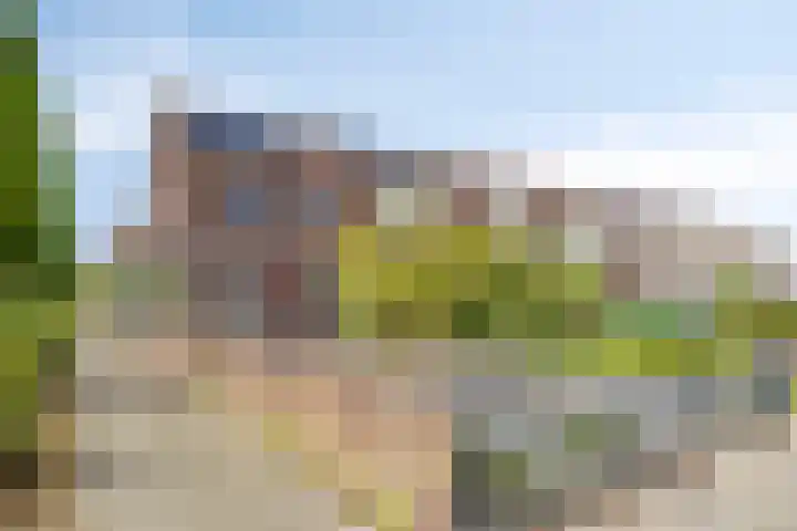 Heintje Davidstuin 1 Heerhugowaard thumbnail 7