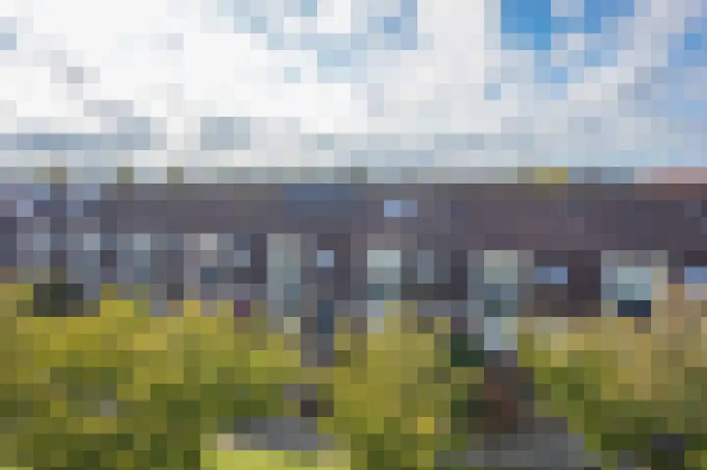 Heintje Davidstuin 11 Heerhugowaard thumbnail 8