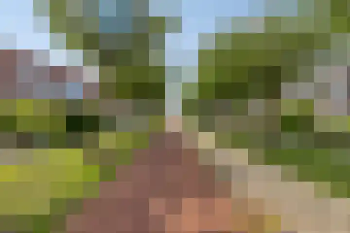 Heintje Davidstuin 14 Heerhugowaard thumbnail 32