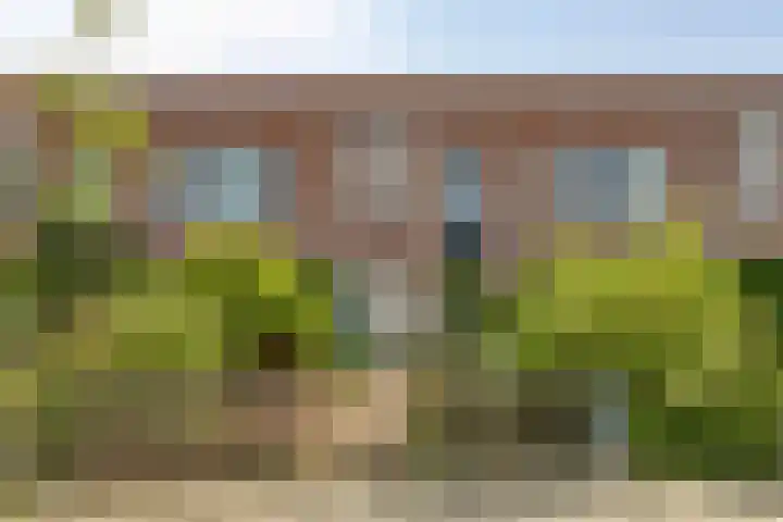 Heintje Davidstuin 14 Heerhugowaard thumbnail 36