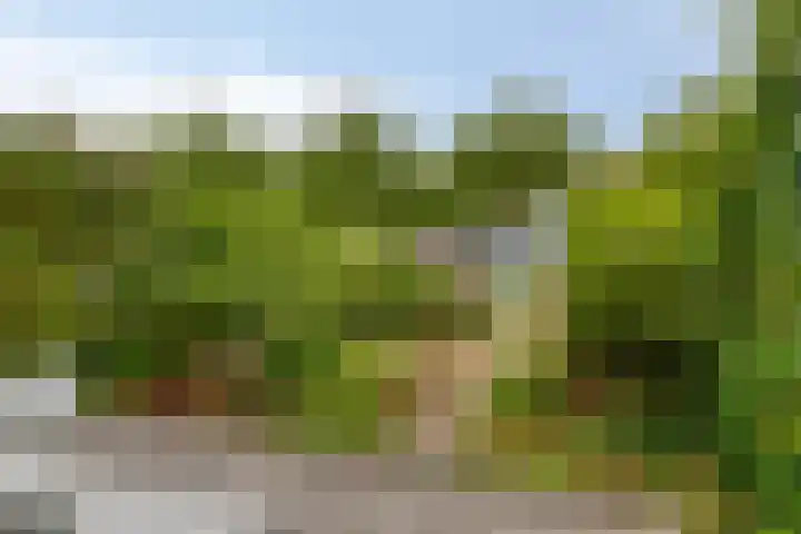 Heintje Davidstuin 14 Heerhugowaard thumbnail 5