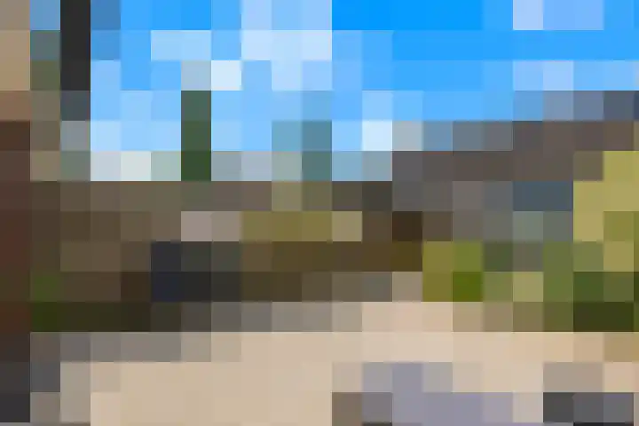 Heintje Davidstuin 5 Heerhugowaard thumbnail 30