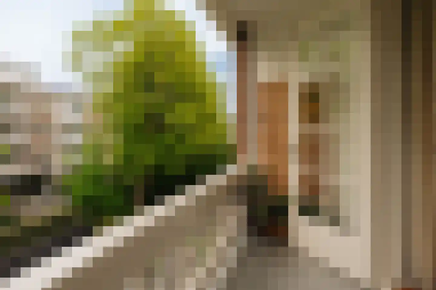 Heinzestraat 19 1 Amsterdam thumbnail 18