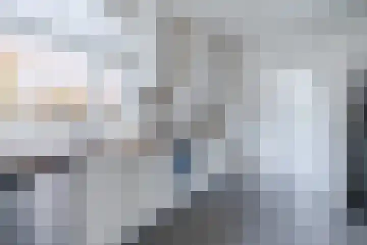 Heipoldersstraat 25 Heeze thumbnail 14