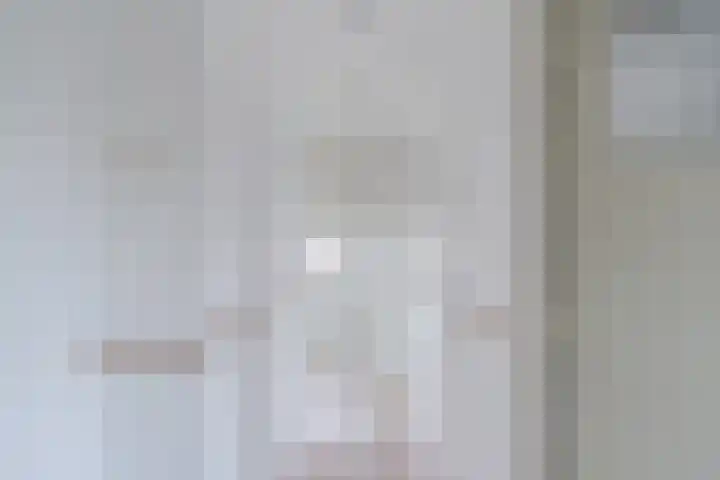 Heipoldersstraat 25 Heeze thumbnail 23