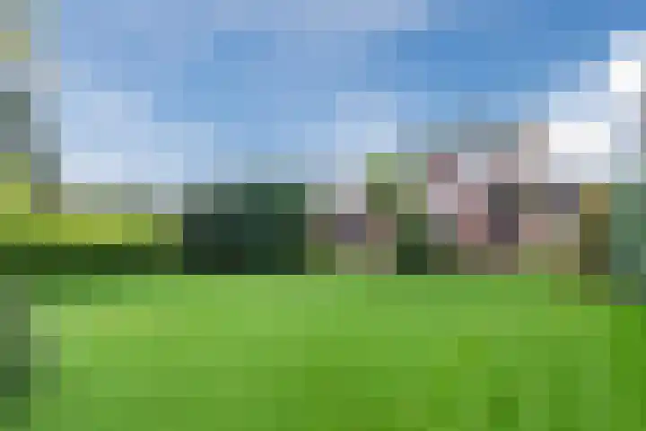 Heipoldersstraat 25 Heeze thumbnail 33