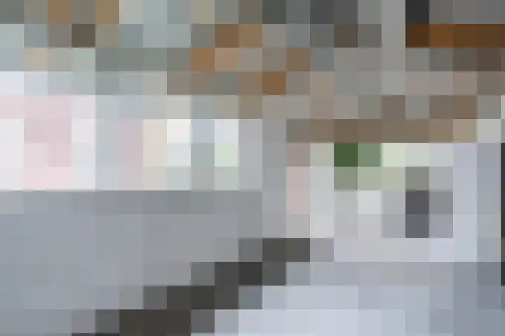 Heipoldersstraat 25 Heeze thumbnail 37