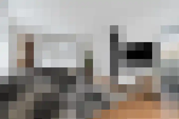 Heipoldersstraat 25 Heeze thumbnail 4