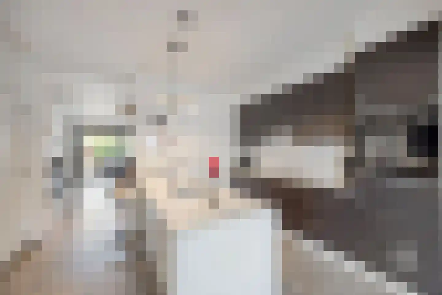Heirbaan 187 Moergestel thumbnail 10