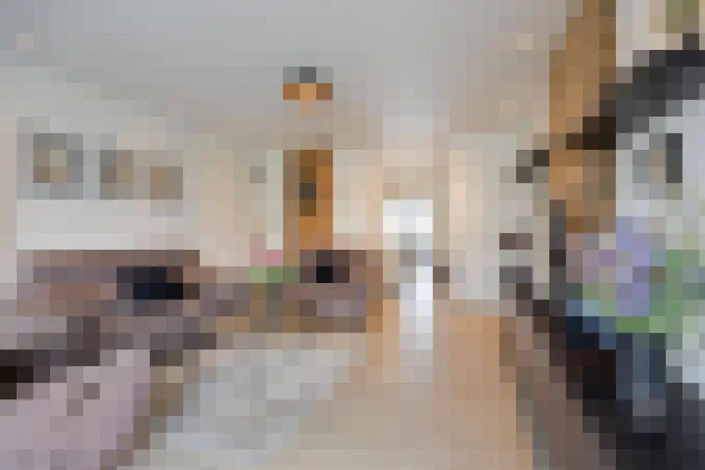 Heirbaan 187 Moergestel thumbnail 12