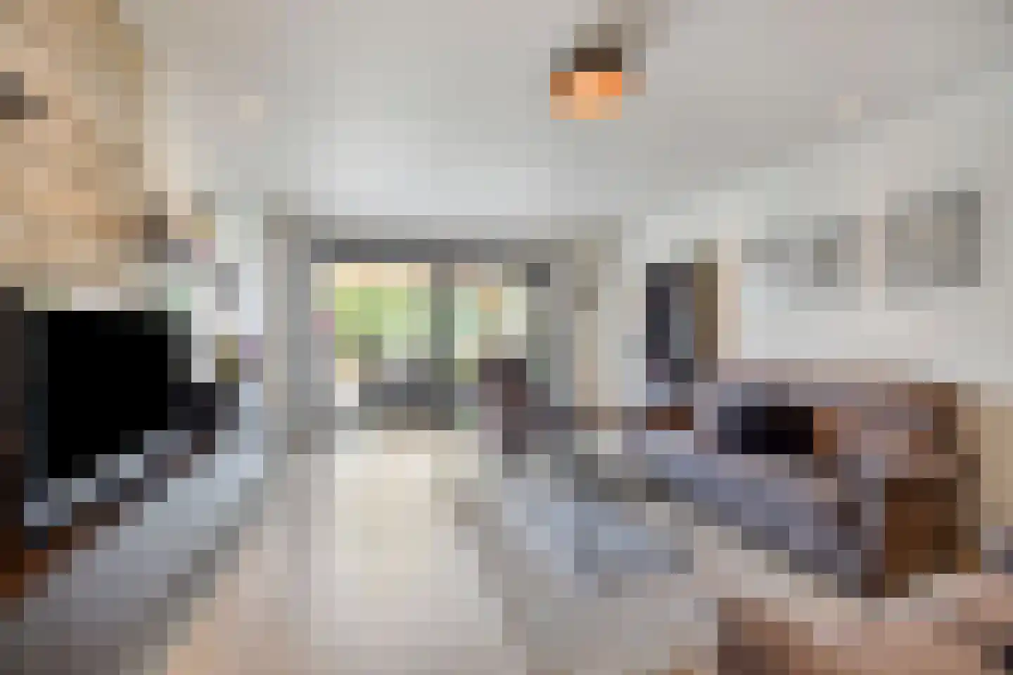 Heirbaan 187 Moergestel thumbnail 13