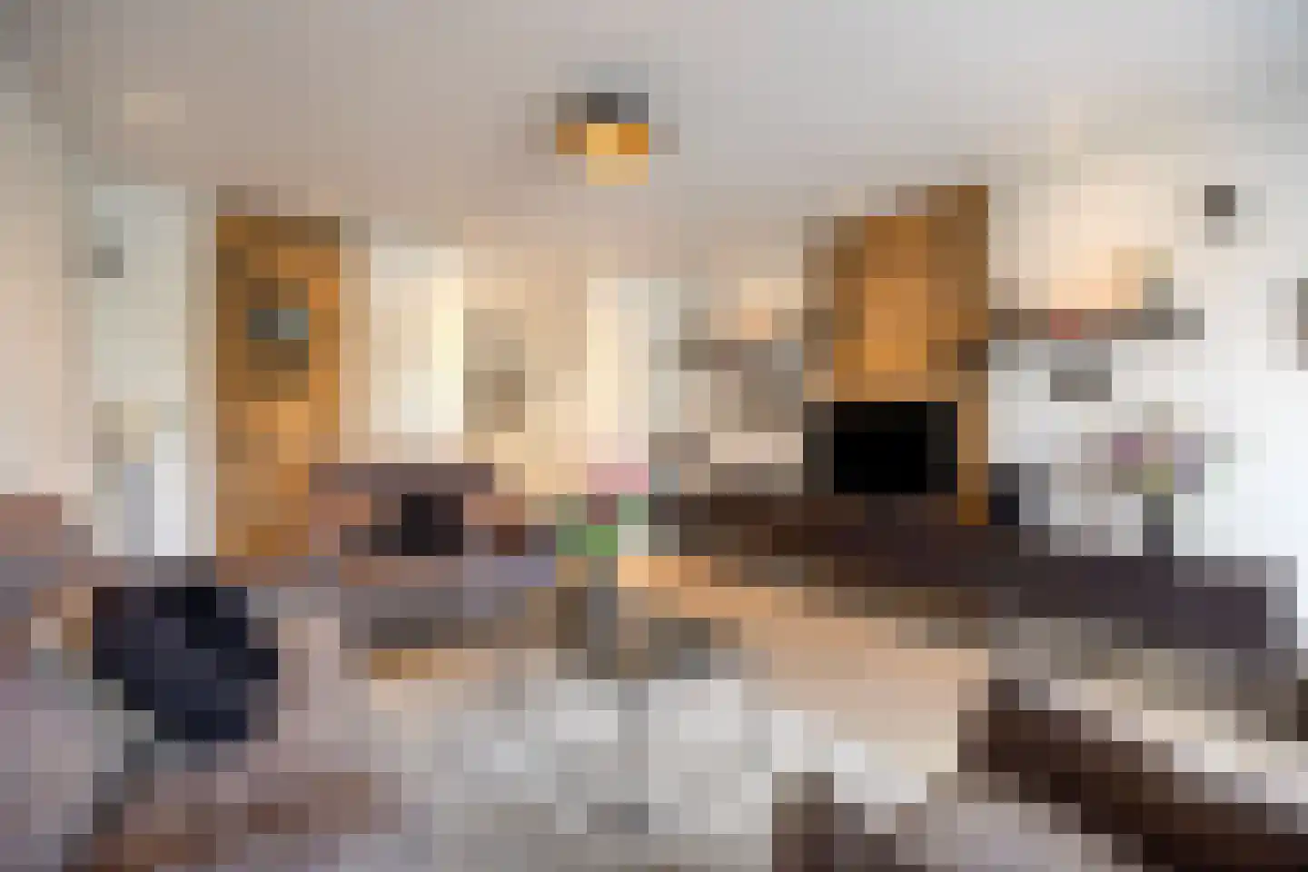 Heirbaan 187 Moergestel thumbnail 16