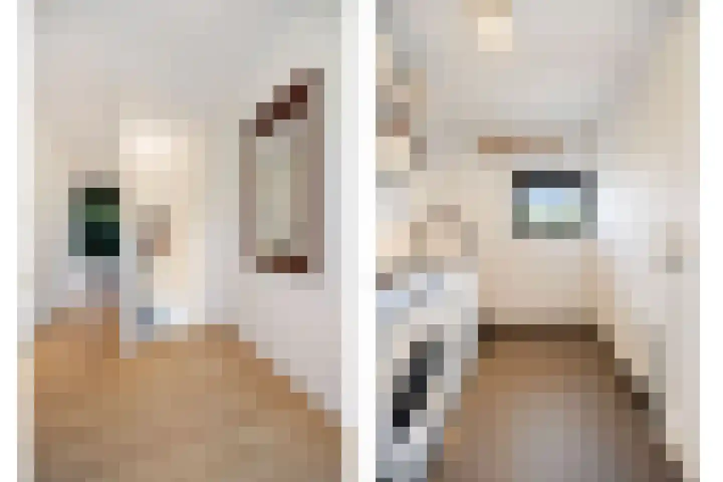 Heirbaan 187 Moergestel thumbnail 18