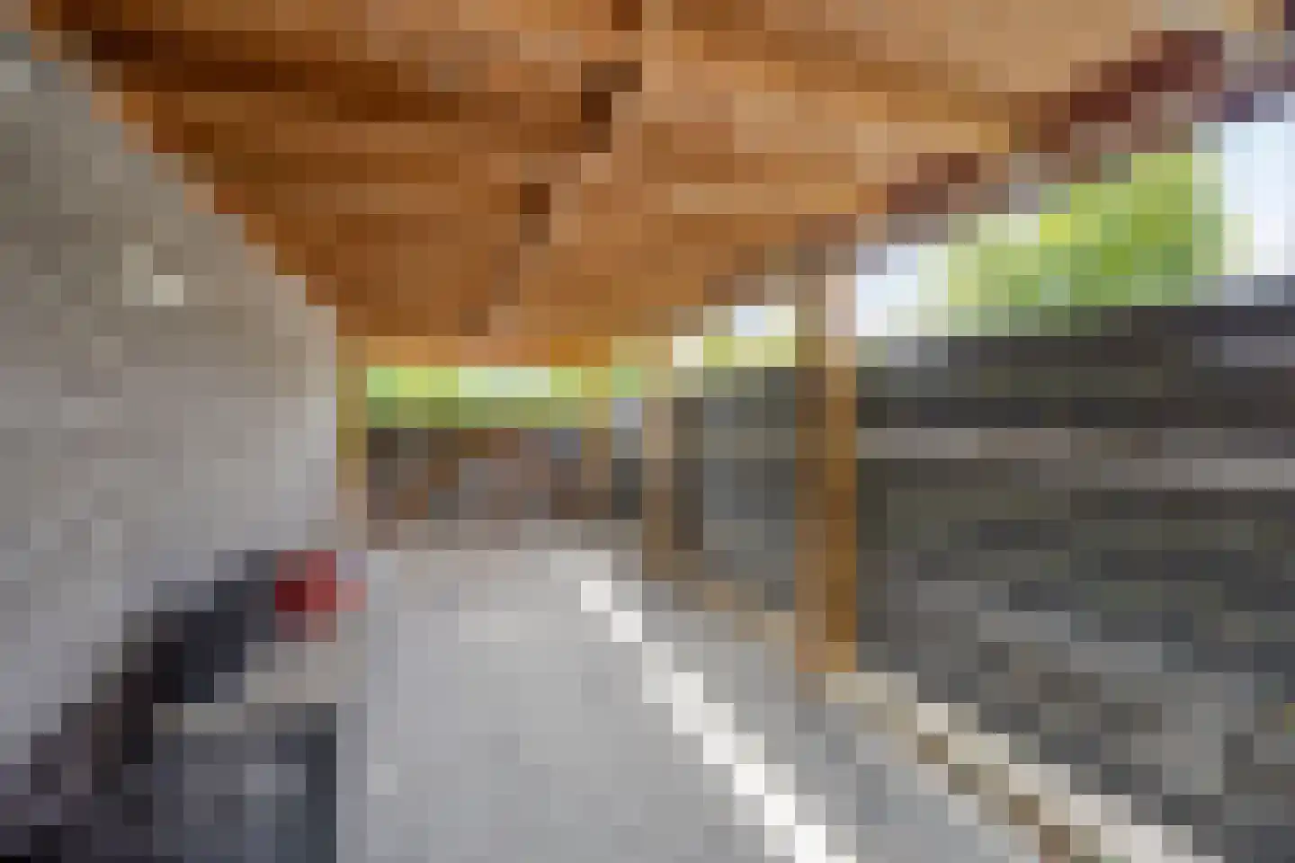 Heirbaan 187 Moergestel thumbnail 29