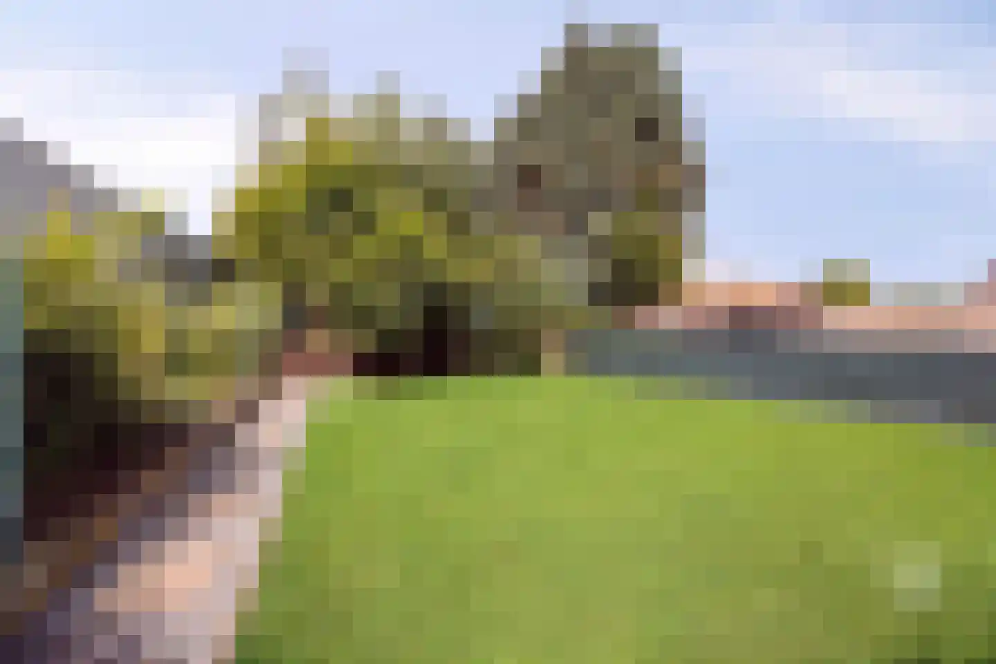 Heirbaan 187 Moergestel thumbnail 35