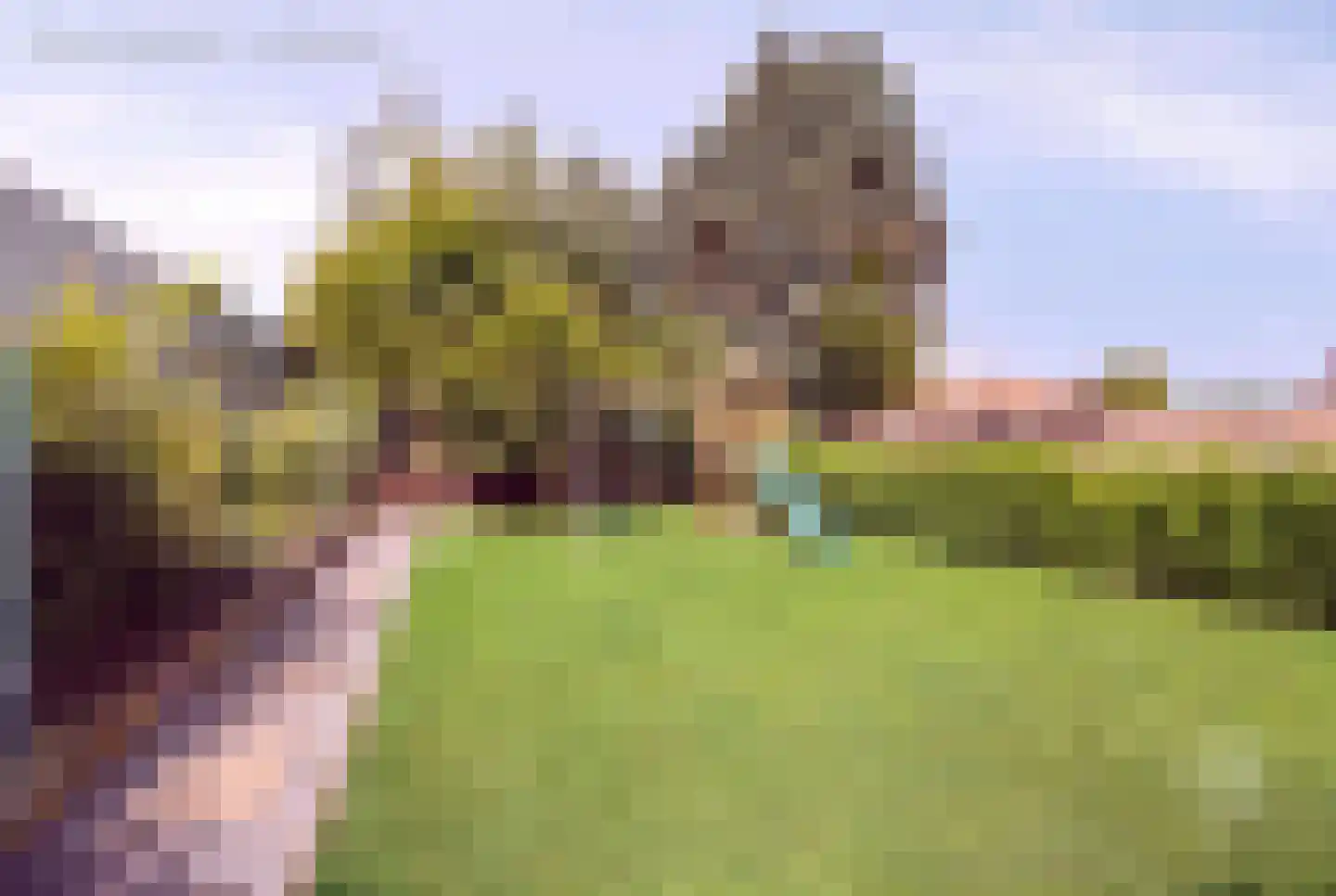 Heirbaan 187 Moergestel thumbnail 36