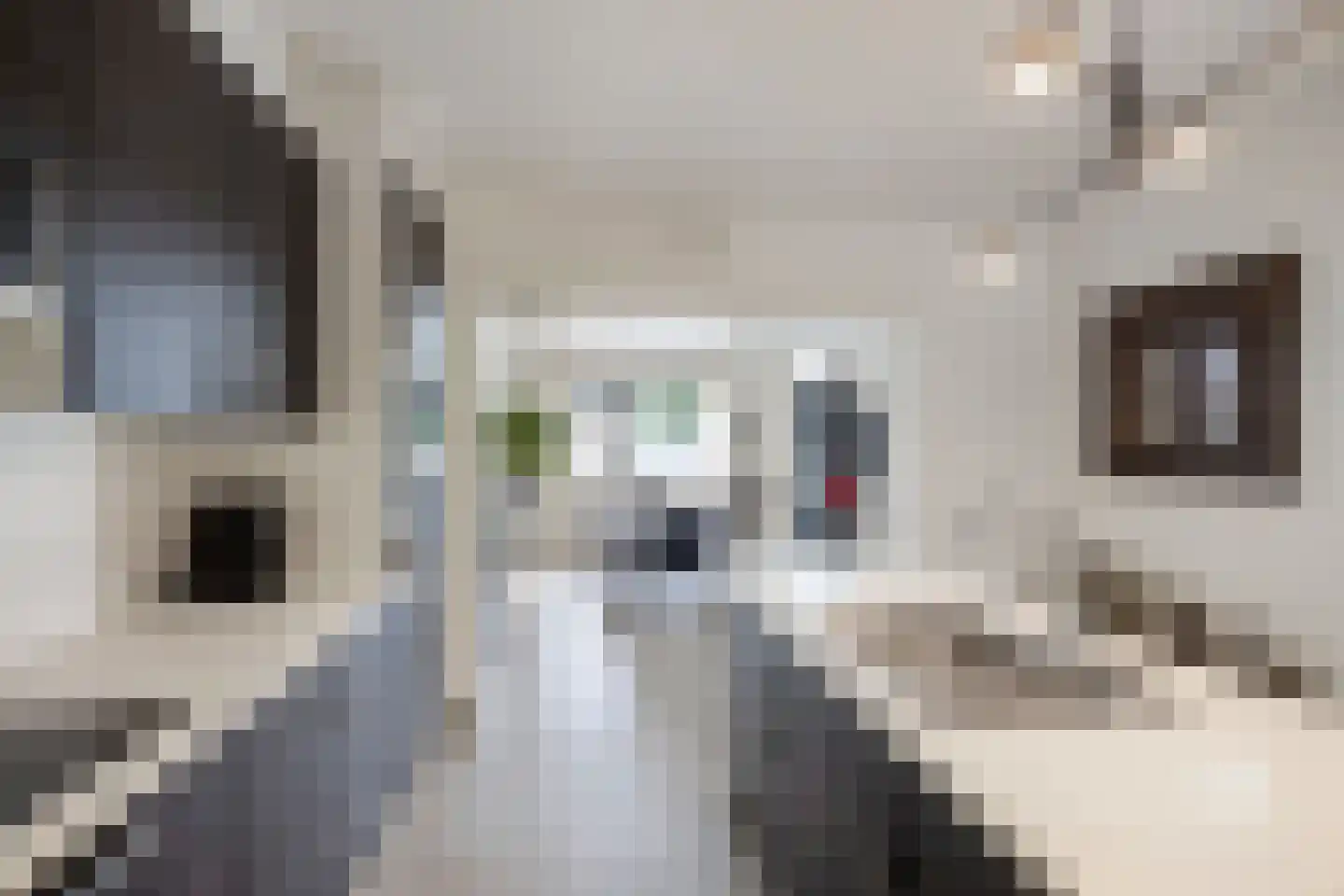 Heirbaan 187 Moergestel thumbnail 8
