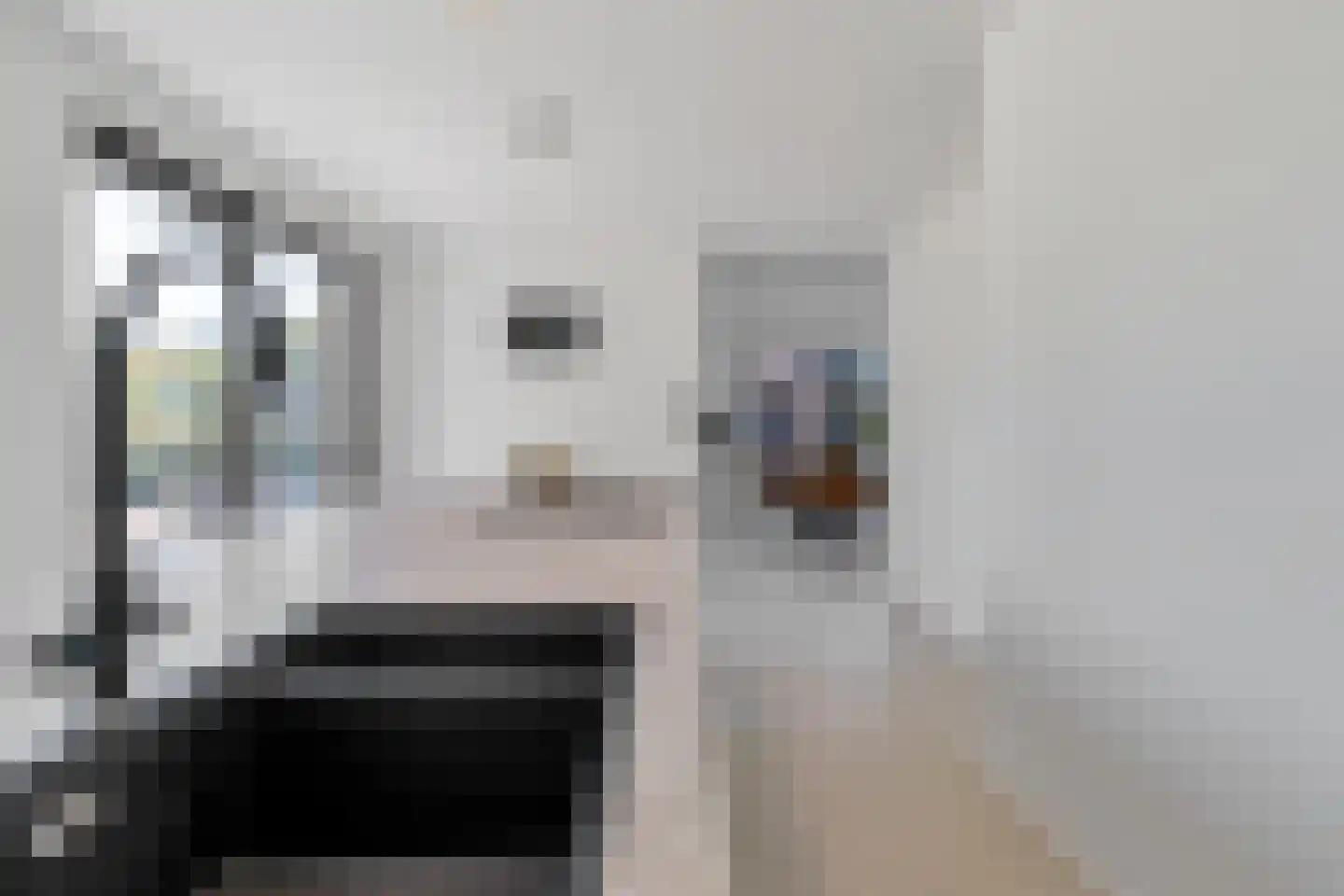 Heirbaan 3621 Rekem Moergestel thumbnail 18
