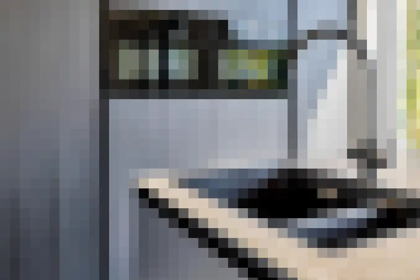 Heirbaan 3621 Rekem Moergestel thumbnail 19