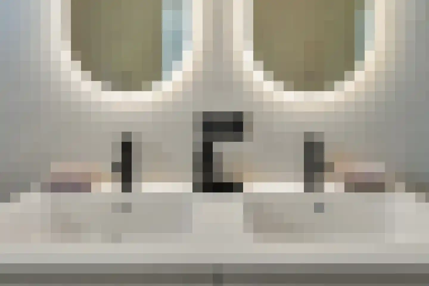 Heirbaan 3621 Rekem Moergestel thumbnail 30