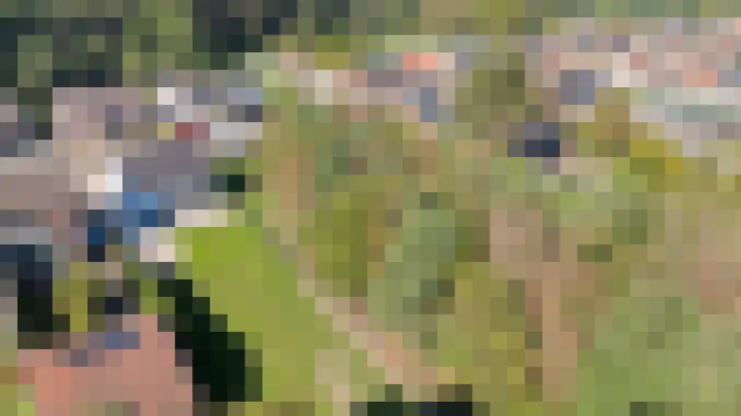 Heirbaan 3621 Rekem Moergestel thumbnail 48