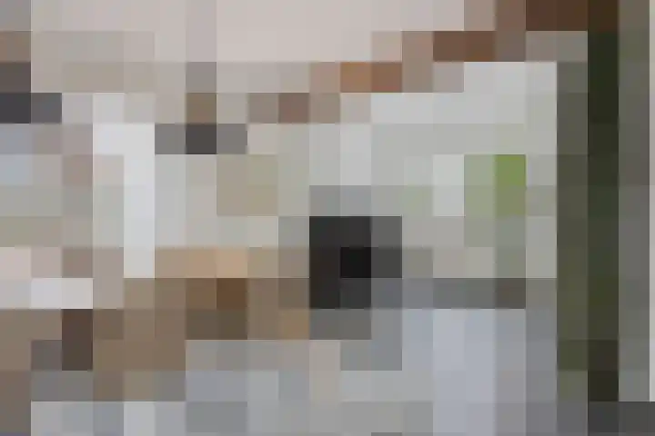Heirstraat 11 Cadier en Keer thumbnail 13