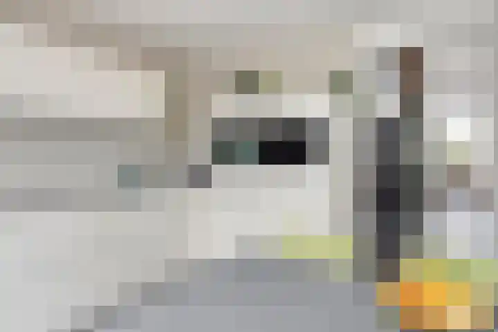 Heirstraat 11 Cadier en Keer thumbnail 18