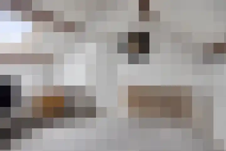 Heirstraat 11 Cadier en Keer thumbnail 28