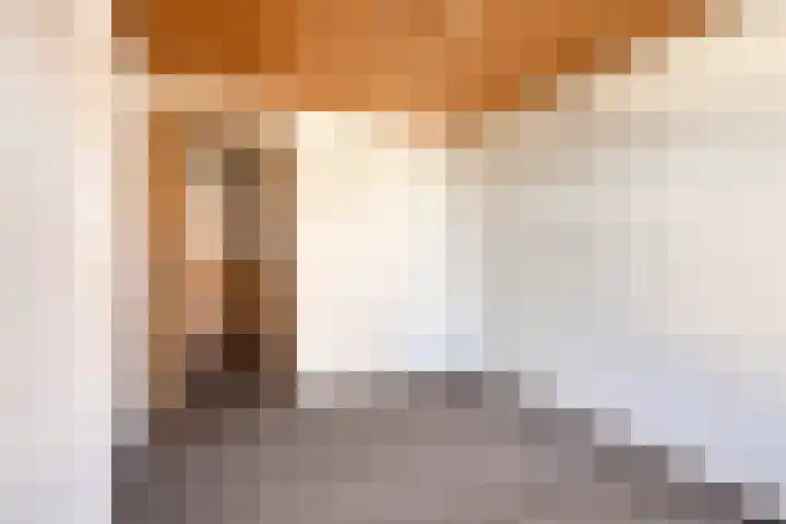 Heirstraat 23 Elsloo thumbnail 22