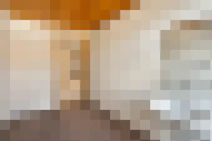 Heirstraat 23 Elsloo thumbnail 26