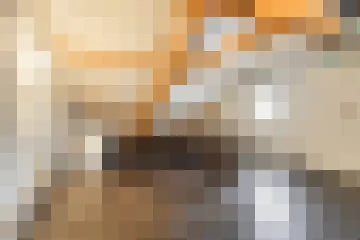 Heirstraat 23 Elsloo thumbnail 28