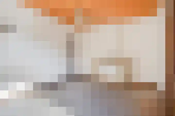 Heirstraat 23 Elsloo thumbnail 4