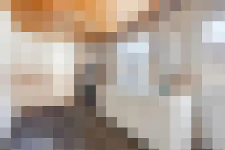 Heirstraat 23 Elsloo thumbnail 9