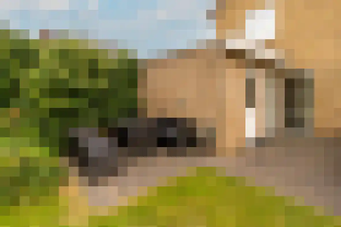 Heirstraat 24 Beek thumbnail 41
