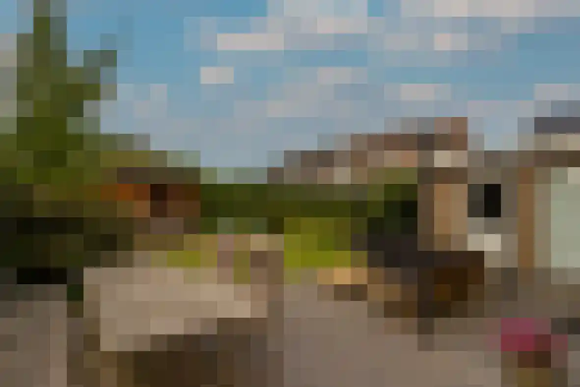 Heirstraat 24 Beek thumbnail 5