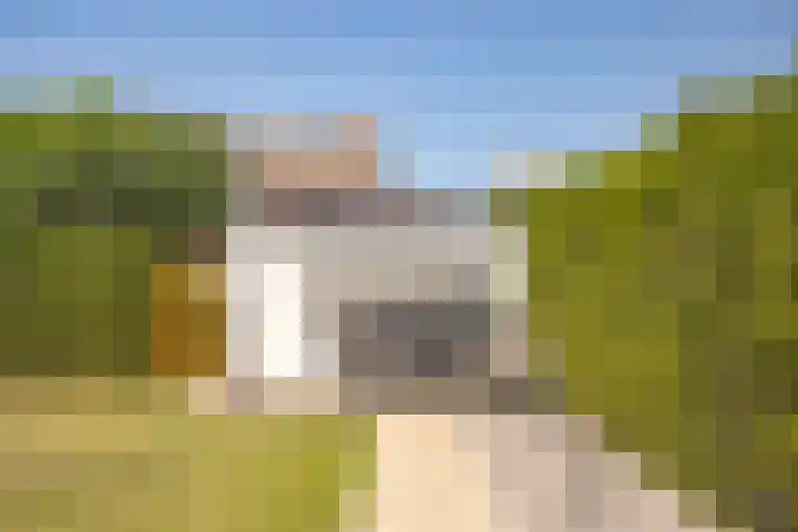 Heirstraat 4 Cadier en Keer thumbnail 28