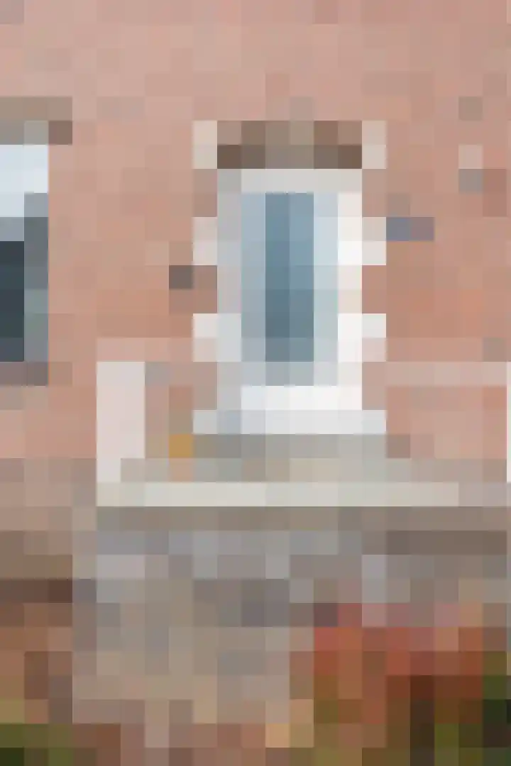 Heirstraat 4 Elsloo thumbnail 10