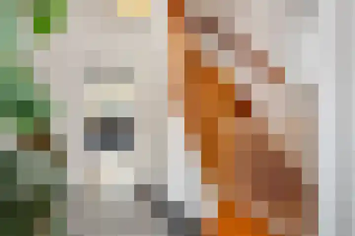 Heirstraat 4 Elsloo thumbnail 11