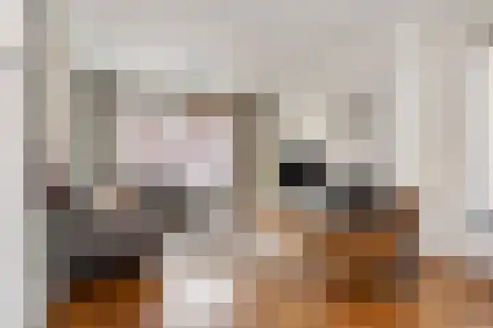 Heirstraat 4 Elsloo thumbnail 17