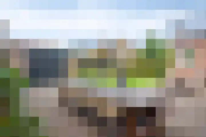 Heirstraat 4 Elsloo thumbnail 29