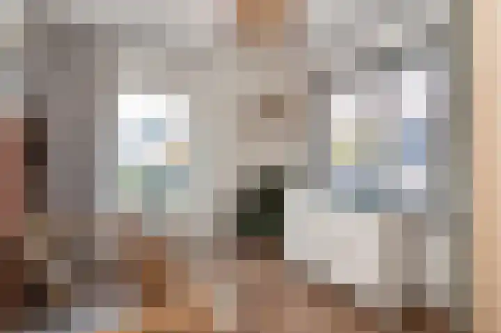 Heirstraat 4 Elsloo thumbnail 44