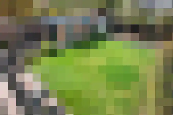 Heirstraat 4 Elsloo thumbnail 47
