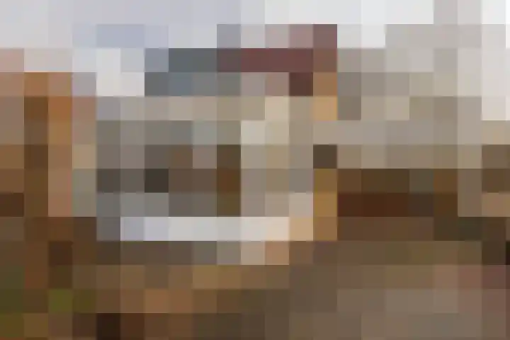 Heirstraat 48 Elsloo thumbnail 37